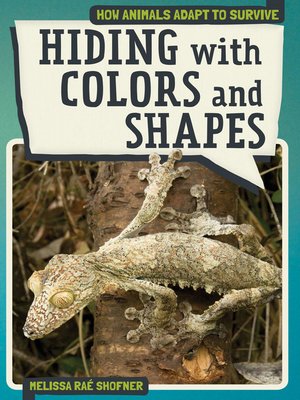 cover image of Hiding with Colors and Shapes